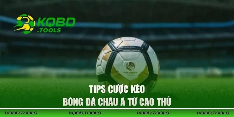 Tips cược kèo bóng đá Châu Á từ cao thủ 