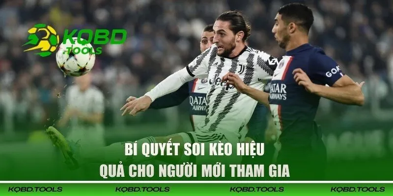 Bí quyết soi kèo hiệu quả cho người mới tham gia 