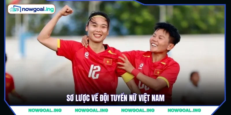 Sơ lược về đội tuyển nữ Việt Nam 